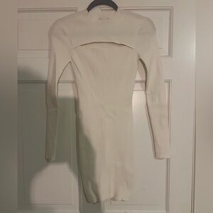 Aritzia Fitted Knit Long Sleeve Dress